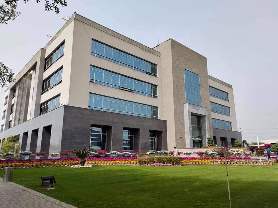 DHA Phase 6: What the Market Is Doing in 2026